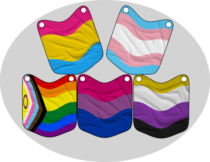 wall pride flags